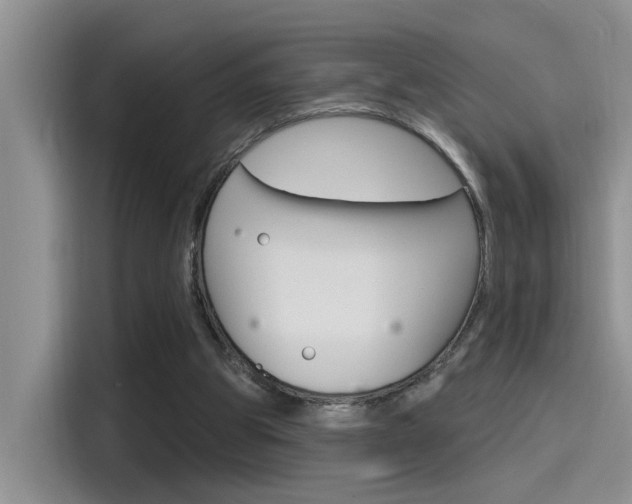 X0000115710153200911121010