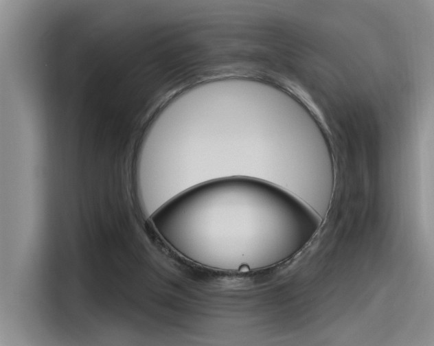 X0000115710154200911121010