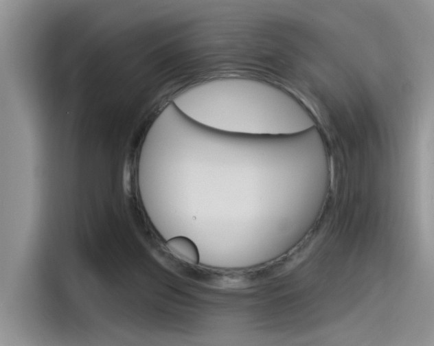 X0000115710157200911121010