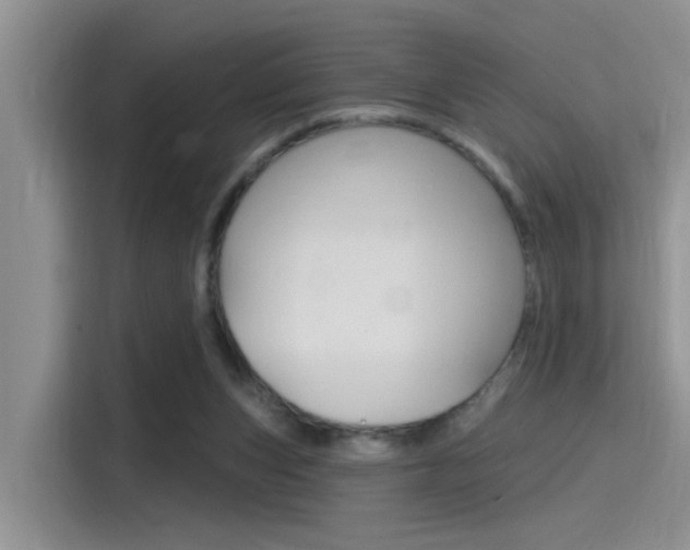 X0000115710159200911121010