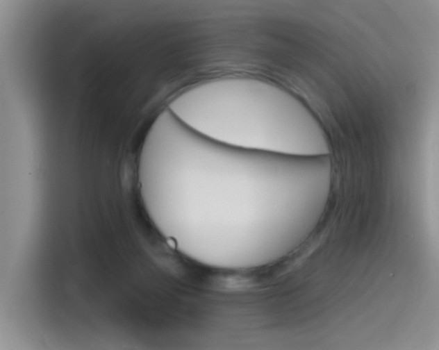 X0000115710165200911121010