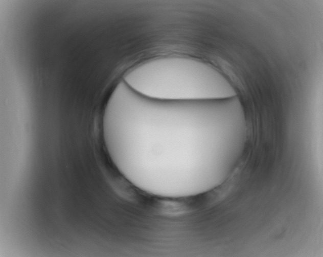 X0000115710167200911121010