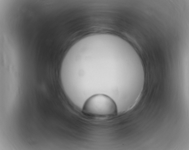 X0000115710170200911121010