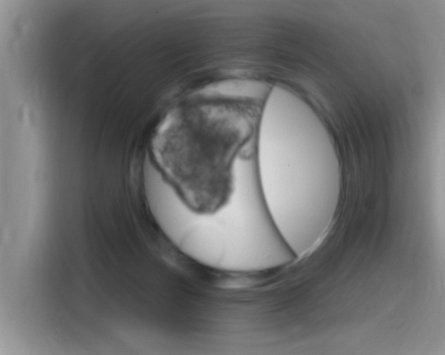 X0000115710171200911121010