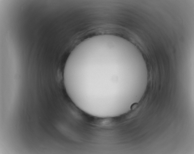 X0000115710173200911121010