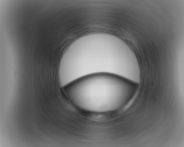 X0000115710174200911121010