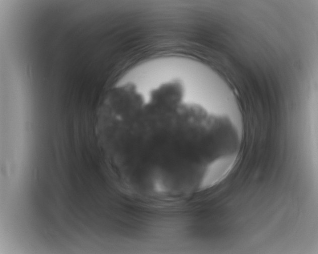 X0000115710175200911121010