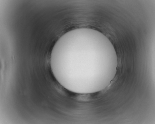 X0000115710179200911121010