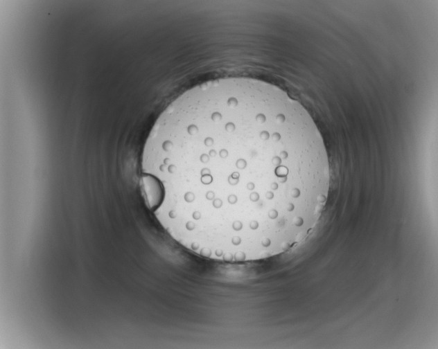 X0000115710187200911121010