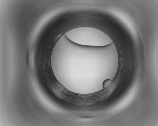 X0000115710189200911121010