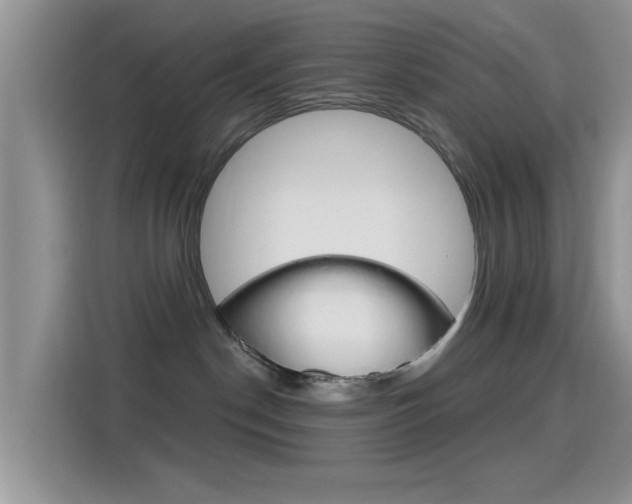 X0000115710190200911121010