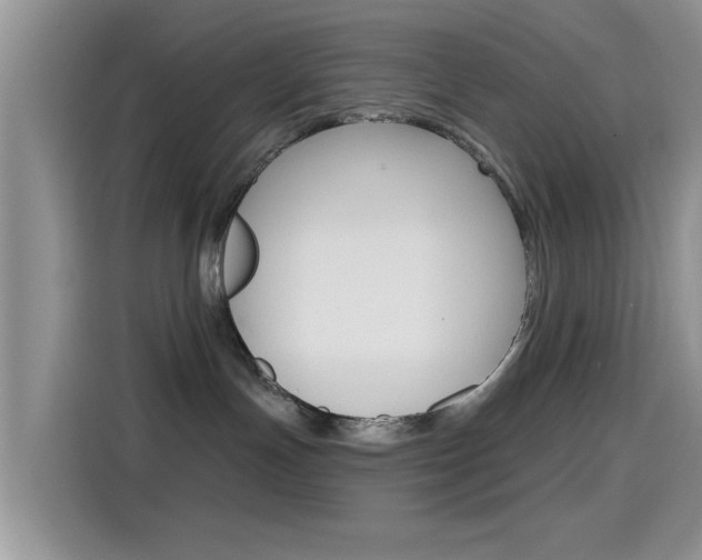 X0000115710191200911121010