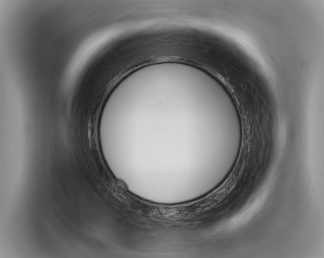 X0000115710194200911121010