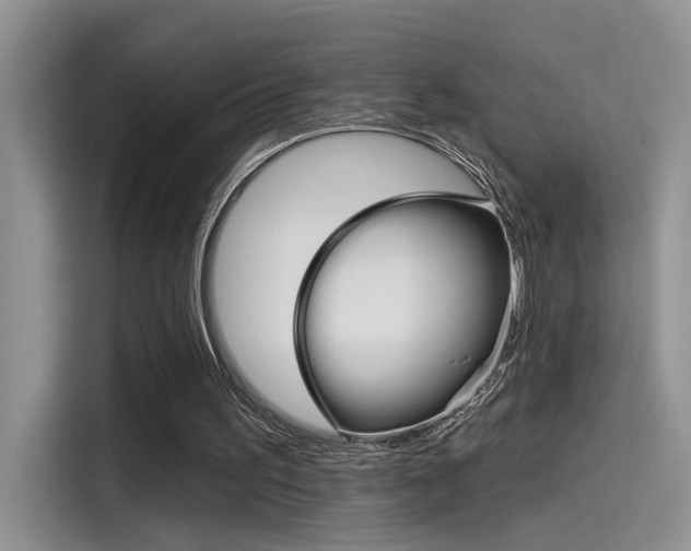 X0000115710195200911121010