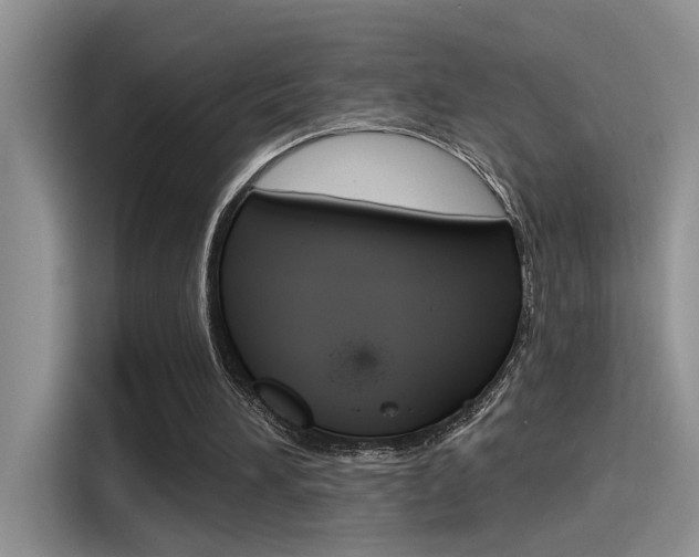 X0000115710196200911121010