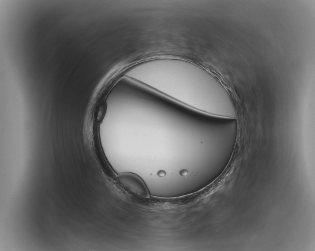 X0000115710197200911121010