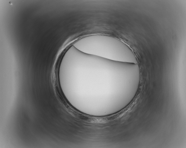 X0000115710198200911121010