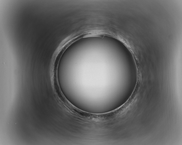 X0000115710199200911121010