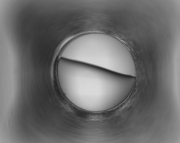 X0000115710200200911121010