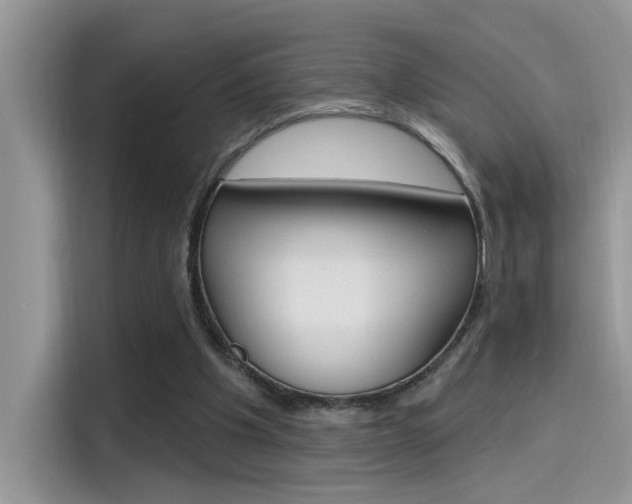 X0000115710201200911121010