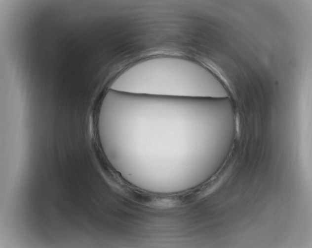 X0000115710205200911121010