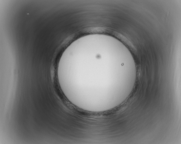 X0000115710206200911121010