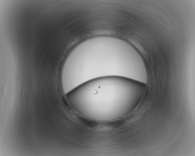 X0000115710207200911121010