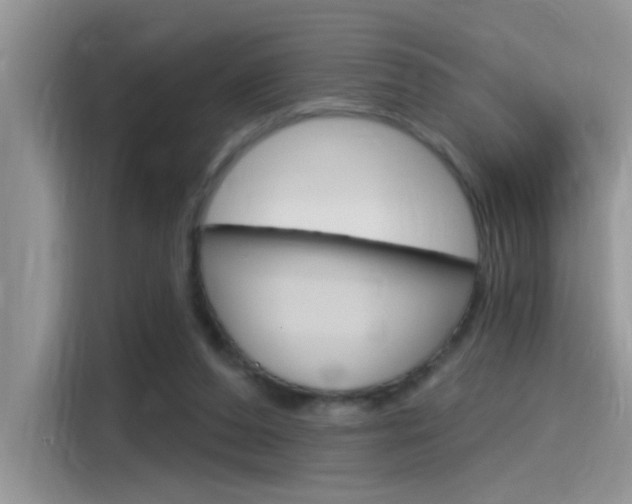 X0000115710208200911121010