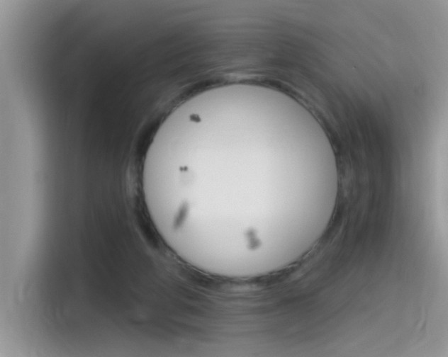 X0000115710210200911121010