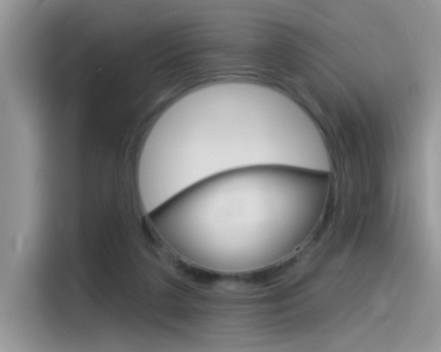 X0000115710211200911121010