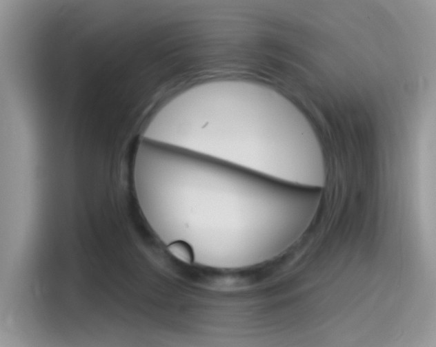 X0000115710212200911121010