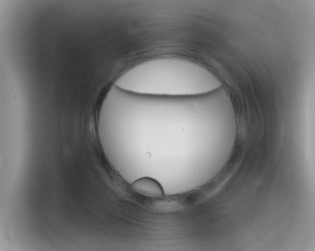 X0000115710213200911121010