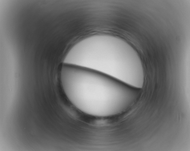 X0000115710216200911121010