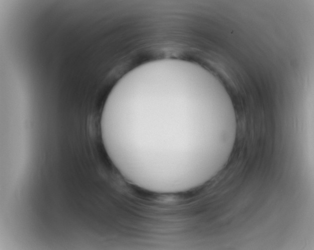 X0000115710218200911121009