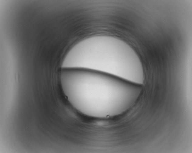 X0000115710220200911121009