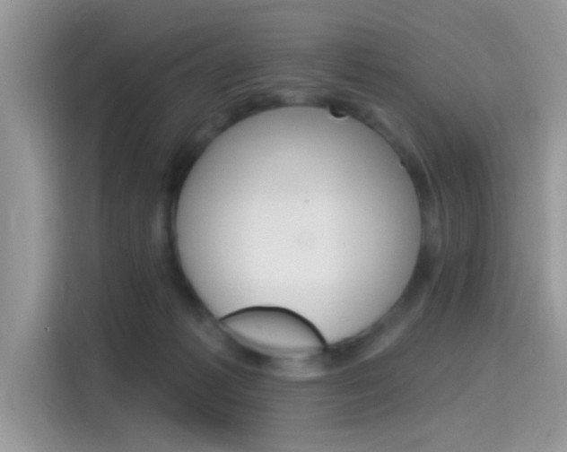 X0000115710221200911121009