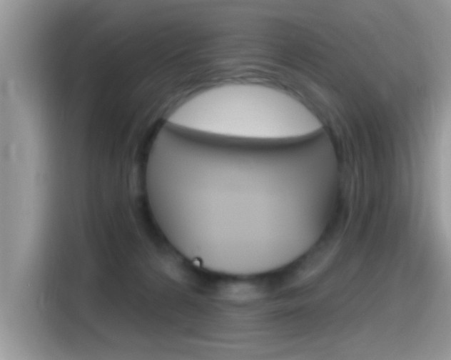 X0000115710224200911121009