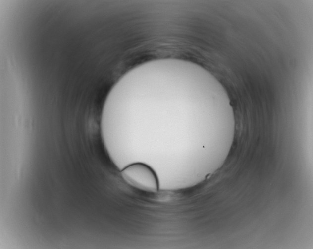 X0000115710226200911121009