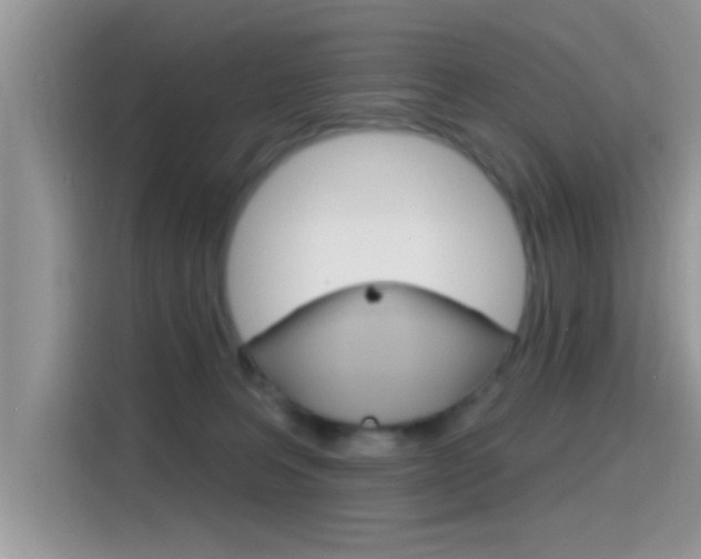 X0000115710227200911121009