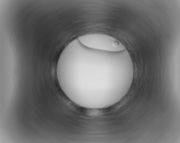 X0000115710230200911121009