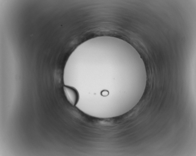 X0000115710232200911121009