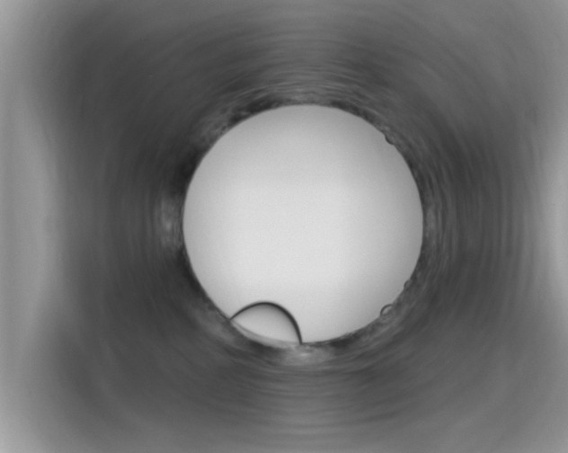 X0000115710234200911121009