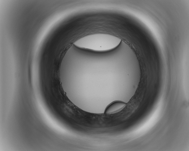 X0000115710239200911121009