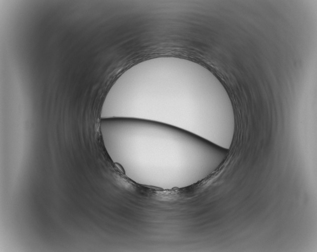 X0000115710240200911121009