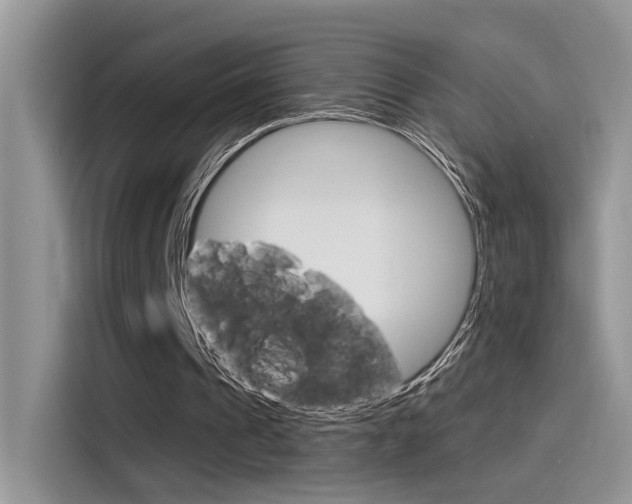 X0000115710241200911121009