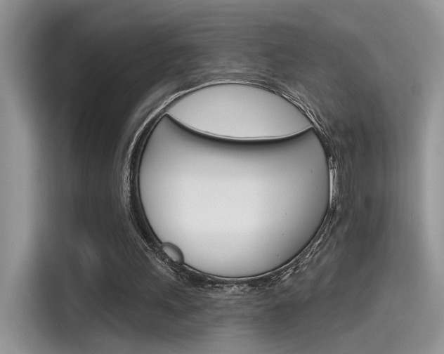 X0000115710243200911121009