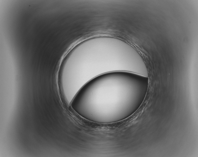 X0000115710244200911121009