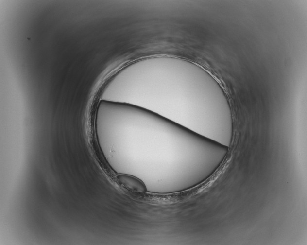 X0000115710245200911121009