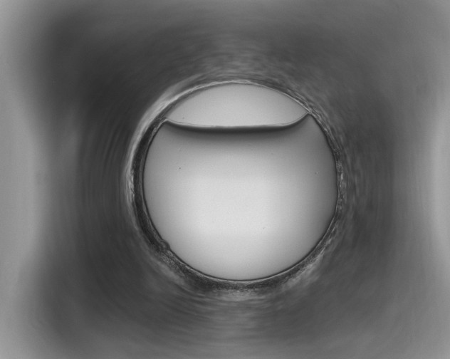 X0000115710246200911121009