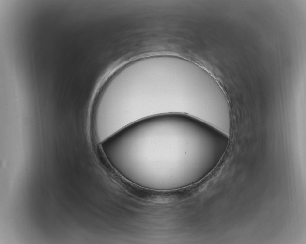 X0000115710248200911121009